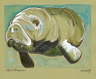 "Gentle Manatee" Watercolor Painting Print