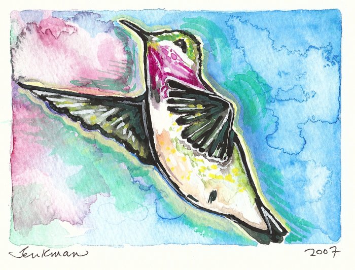 "Hummingbird" Watercolor Painting Print