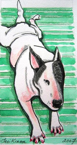 "Bull Terrier on Rug" Watercolor/Ink Painting Print