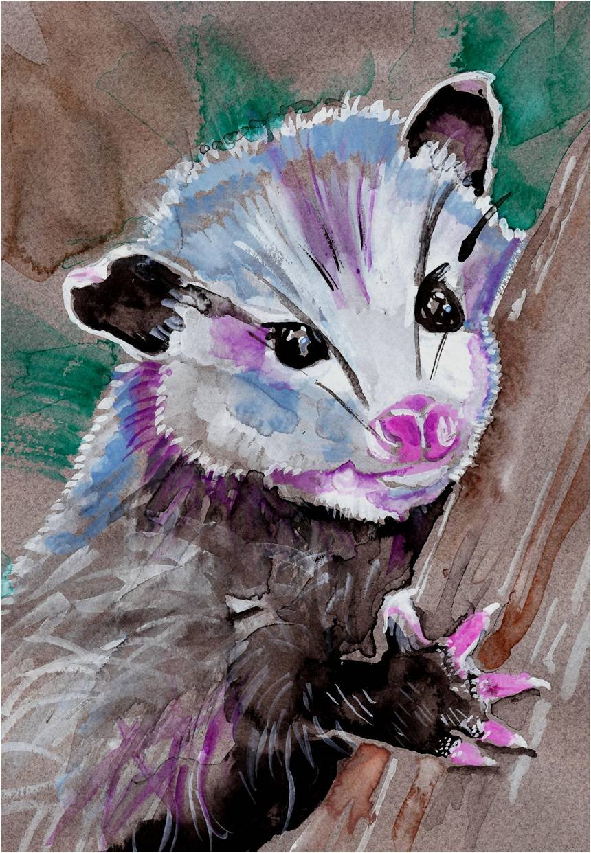"Baby Opossum"" Watercolor Painting Print