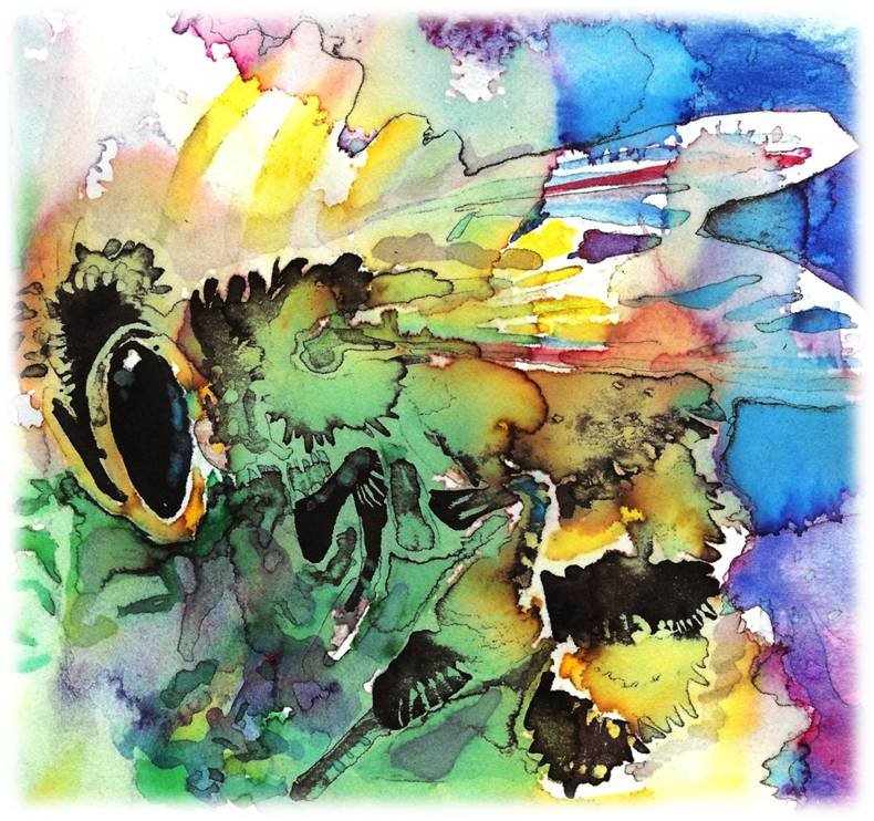 "Honeybee" Watercolor Painting Print