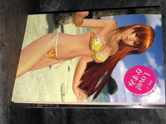 Dead Or Alive Photo Book Side A Kasumi Special Japan Game