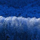 hiver
