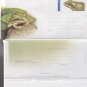 Australia: GREEN & GOLDEN BELL FROG. Aerogramme. Ref: P0497