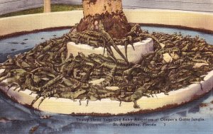 Casper's Gator Jungle in St. Augustine Florida FL Linen Postcard - 0913