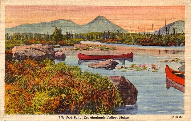 Lily Pad Pond at Sourdnahunk Valley in Maine ME, 1935 Curt Teich Postcard - 2818