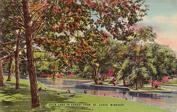 Duck Lake in Forest Park St. Louis Missouri MO Linen Postcard - 2867