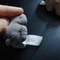 POUND JUNGLE 1997 Hippo mini plush puppies