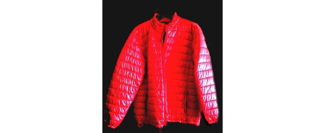 New Red Goose Down Puffer Jacket