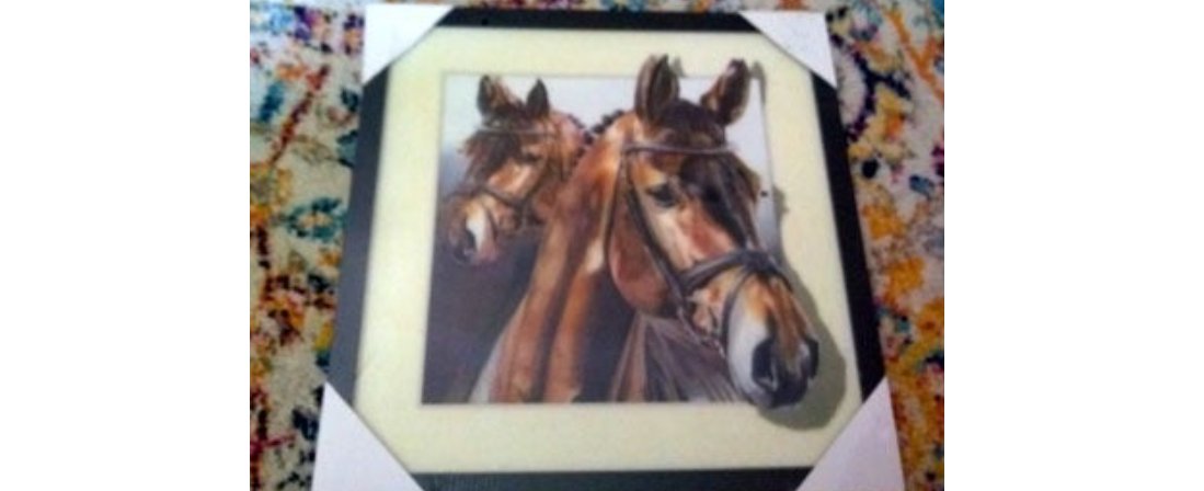 "Horse" Lenticular (3D) Rare & Unique Highly Collectible Art