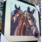 "Horse" Lenticular (3D) Rare & Unique Highly Collectible Art
