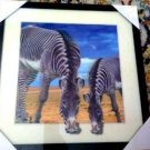 "Zebras" Rare & Unique Lenticular (3D) Highly Collectible Art