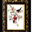 Rare Vintage Lithograph "American Robin"
