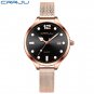 rose black_Women Watch  Woman's Luminous Quartz Waterproof Wristwatch Black Mesh Strap Ladies Dress 