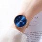 Rose Black BOX_Women Watch Luxury Casual Simple Ladies Daily Dress Mesh Wristwatch Minimalist Waterp