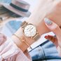 silver black_Women Casual Watch  Japan Quartz Movement Waterproof Woman's Wristwatch Ladies Dress Me