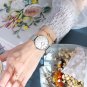 M SL BK BOX_Watches 2021 Women Lover's Luxury Slim Quartz Mesh Watch for Men Casual Waterproof La