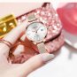 silver white_Women Dark light Watch  Woman's Big Face Quartz Waterproof Wristwatch Rose Gold Mesh La
