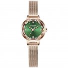 Mesh Green_LANGLISHI 2021 Luxury Women Watches Waterproof Quartz Ladys Watch for Woman Dress Ladies 