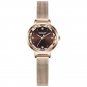 Coffee_LANGLISHI Simple Women Watches Top Luxury Rose Gold Quartz Wrist Watch Ladies Waterproof Cloc