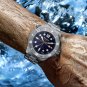 Silver brown_FeelNever Profession Dive Sport Men Automatic Mechanical Watches Stainless Steel Sapphi