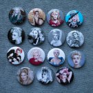 Refrigerator magnet  MADONNA. set of 15 pieces