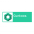 cuckoos