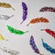 Birds and Feathers