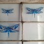 Little Blue Dragonfly