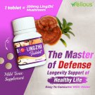 Bio-LingZhi Wellous Ganoderma Lucidum Mushroom Extract Detox Liver Cholesterol