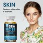 Organic Sea Moss 120 Caps Irish Sea Moss bladderwrack & Burdock Root Anti Aging Detox
