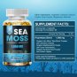Organic Sea Moss 120 Caps Irish Sea Moss bladderwrack & Burdock Root Anti Aging Detox