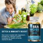Organic Sea Moss 120 Caps Irish Sea Moss bladderwrack & Burdock Root Anti Aging Detox