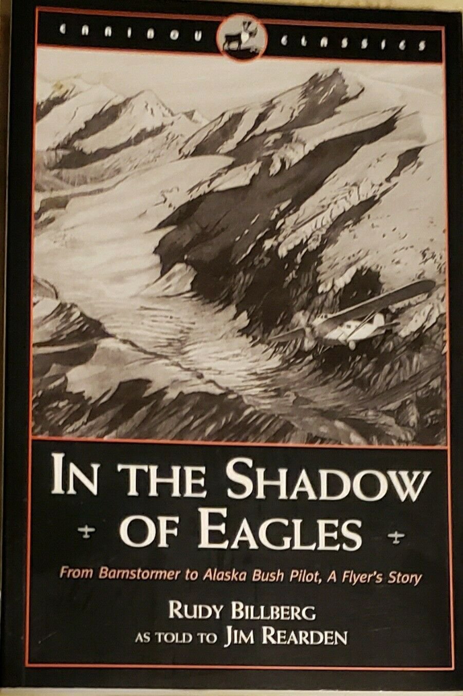 In The Shadow Of Eagles