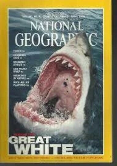 National Geographic Great White April 2000