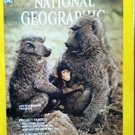 National Geographic May 1975 - Life of a Baboon Troop - in Like New Condition!