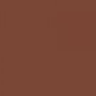 Avon Kissable Lip Frost Frosted Brownie (W)(S) Discontinued loc27