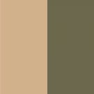 Avon TRUE COLOR Eyeshadow Quad - Washed Khakis location24