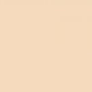 Avon PERSONAL MATCH Smooth Mineral Makeup ~ Ivory ~ Discontinued