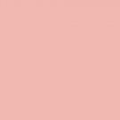 Avon ULTRA COLOR RICH Lipstick ~ Sheer Peach Champagne (S) ~ Discontinued VHTF Lip Stick