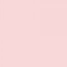 Avon NAILWEAR Nail Enamel Pink Silhouette Discontinued Location2