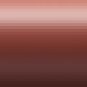 Avon BEYOND COLOR Plumping Lipcolor SPF 15 Lip Stick Twig (N) Lipstick