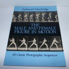 The Male And Female Figure In Motion Eadweard Muybridge Nude Photography Book The Male And Female Figure In Motion Eadweard Muybridge Nude Photography Book