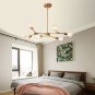 Modern Sputnik Chandelier Brushed Hanging Lamp Industrial Flush Mount Ceiling Light Fixture