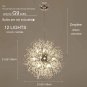 Modern Crystal Chandeliers Firework Dandelion Sputnik Chandelier Light Fixture Pendant Lighting