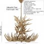 Rustic Deer Antler Chandelier Resin Faux Farmhouse Candle Style 9+9 Wood Color