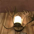 Rural Deer Horn Wall Lamp, Living Room Bedroom Bedside Porch Resin Wall Lamp