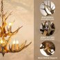 Antler Chandelier 12 Lights, Resin Pandent Lamp Antique with Double Layer