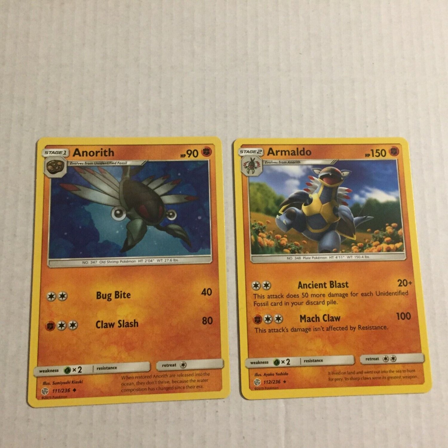 Pokemon 2019 Anorith & Armaldo Cards