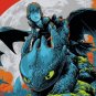 2020 SDCC Mondo How to Train Your Dragon Screenprinted 36'' x 24'' Poster Limite